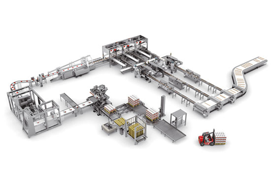 自動稱重包裝流水線